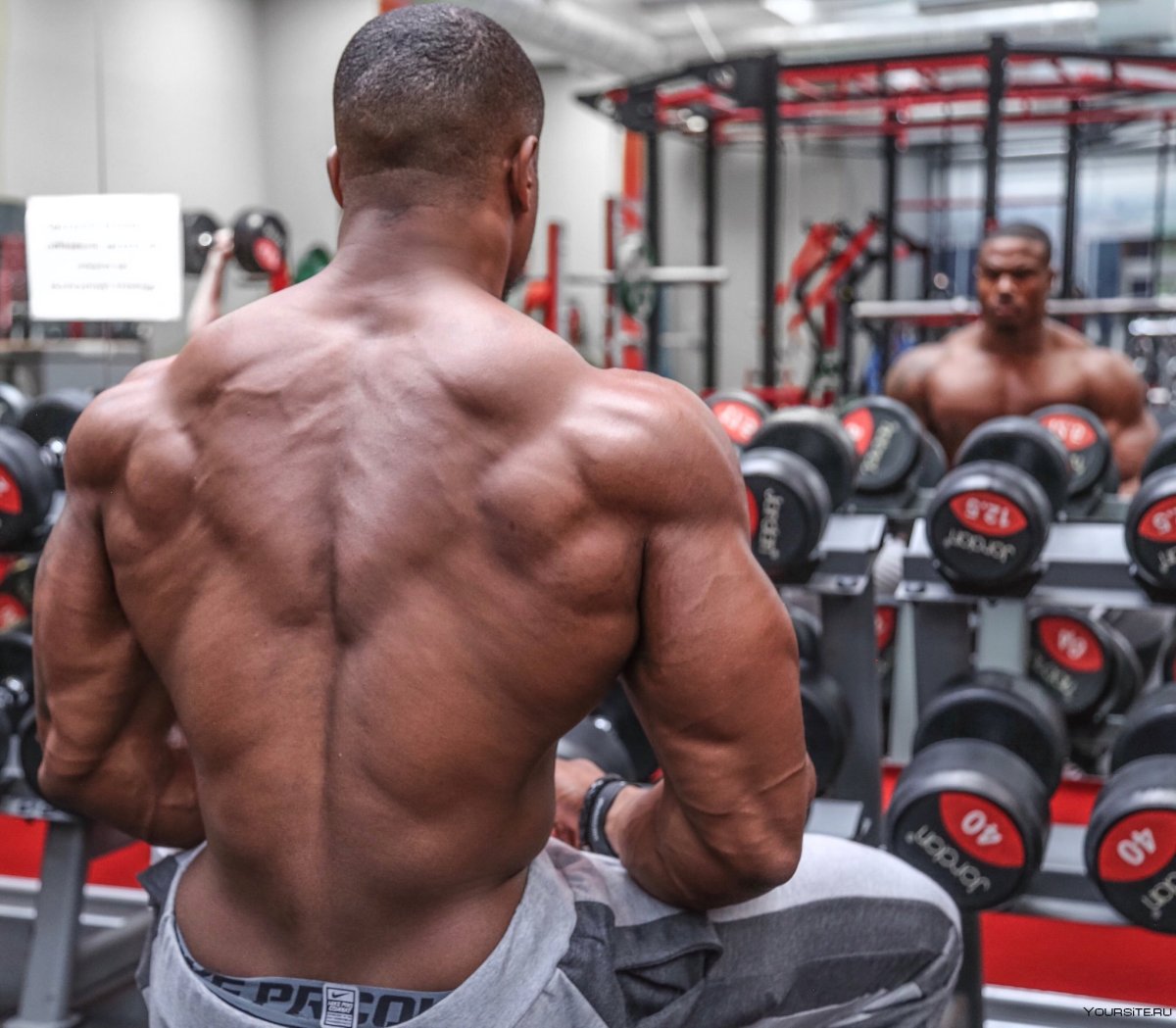 Simeon Panda спина