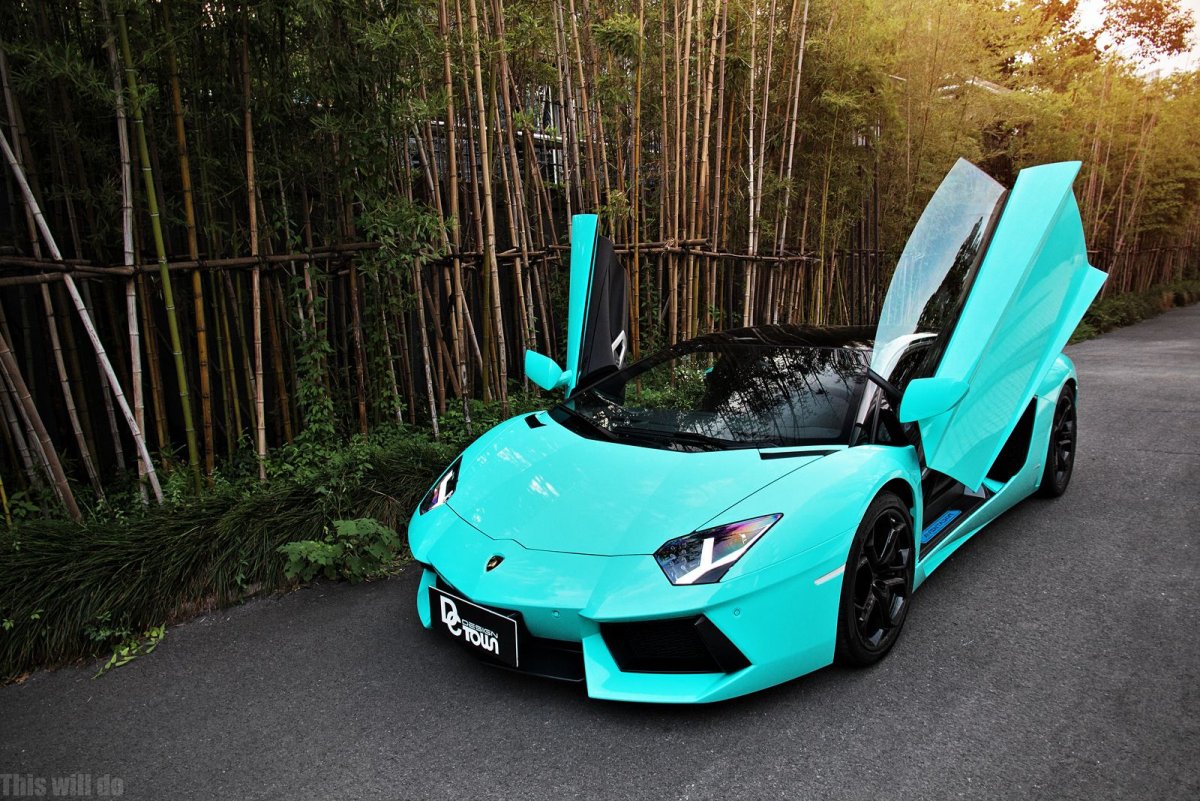 Lamborghini Aventador Roadster березовый