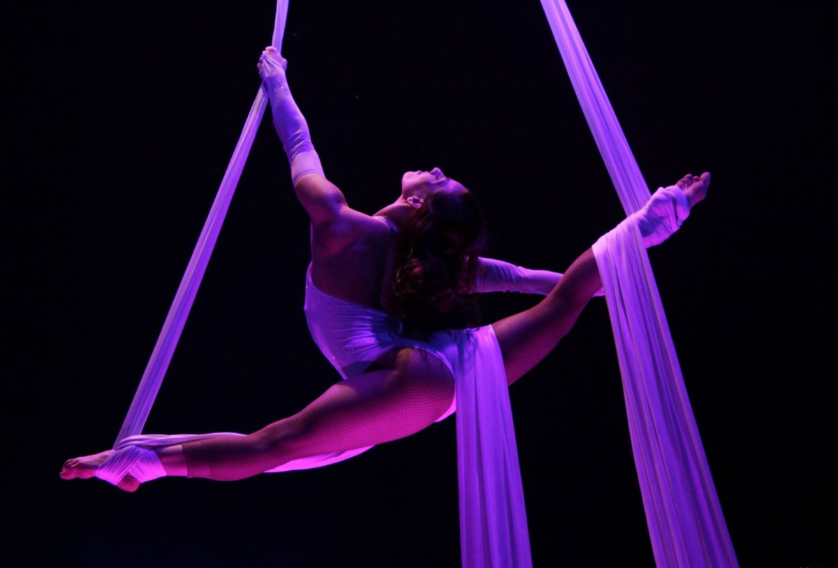 Воздушные полотна Aerial Silks