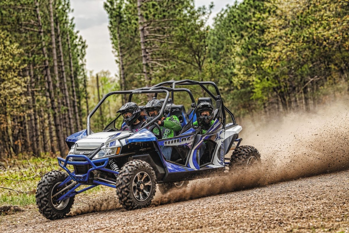 2014 Arctic Cat Wildcat