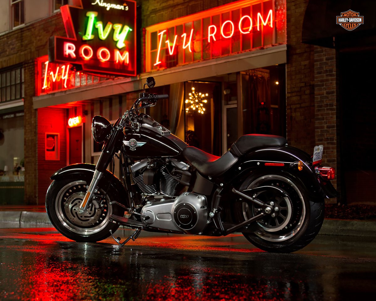 Harley Davidson Fatboy Special 2013