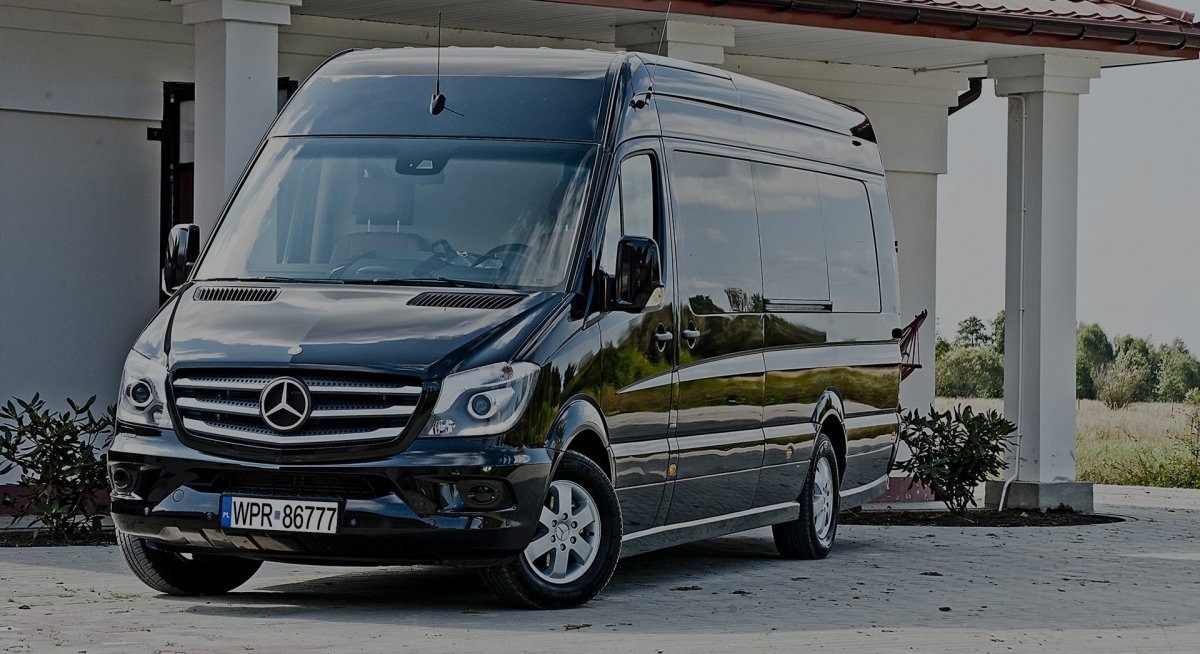 Mercedes Benz Sprinter 2020 микроавтобус