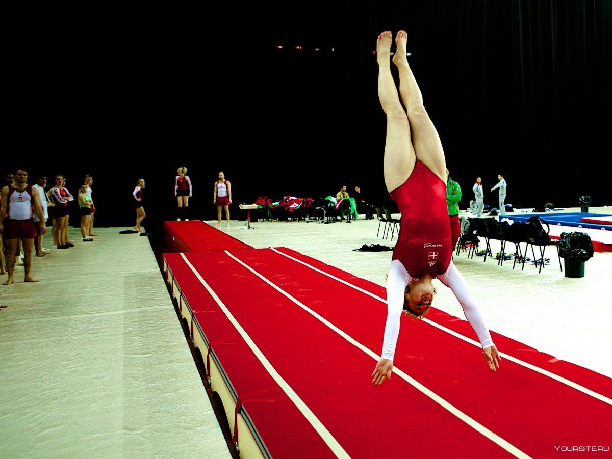 Прыжковая акробатика