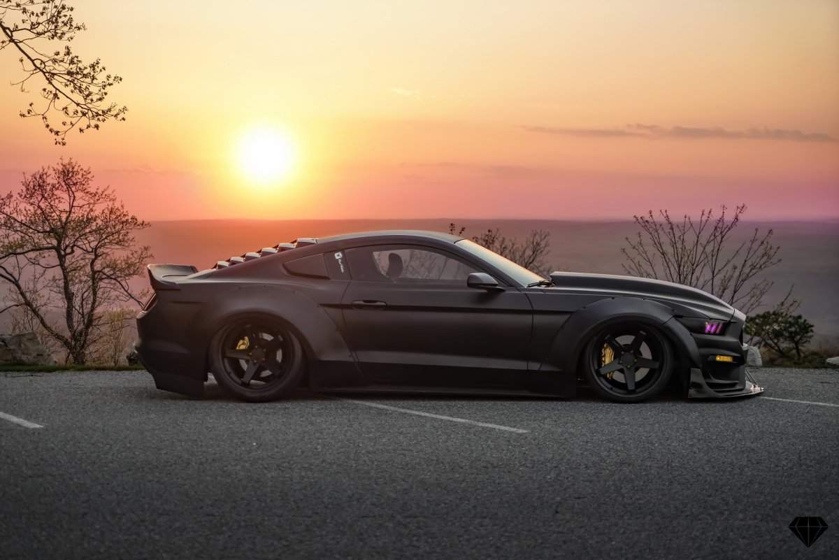 Ford Mustang 2021 stance