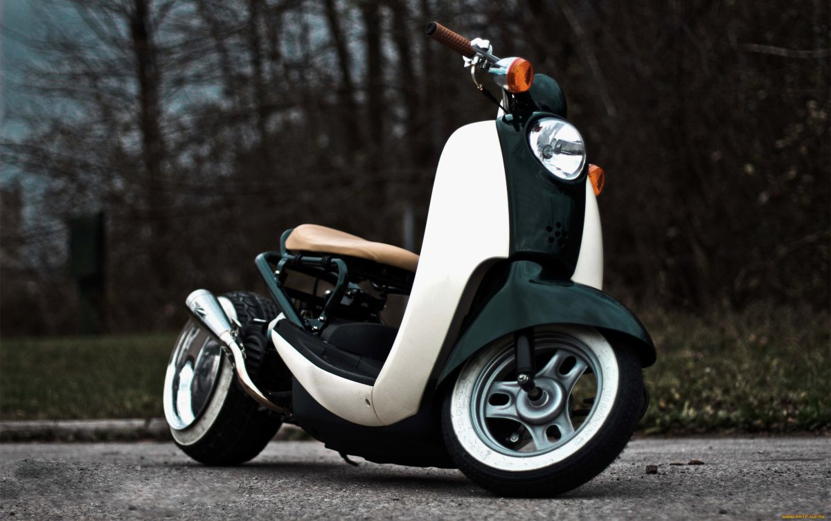 Honda giorno кастом