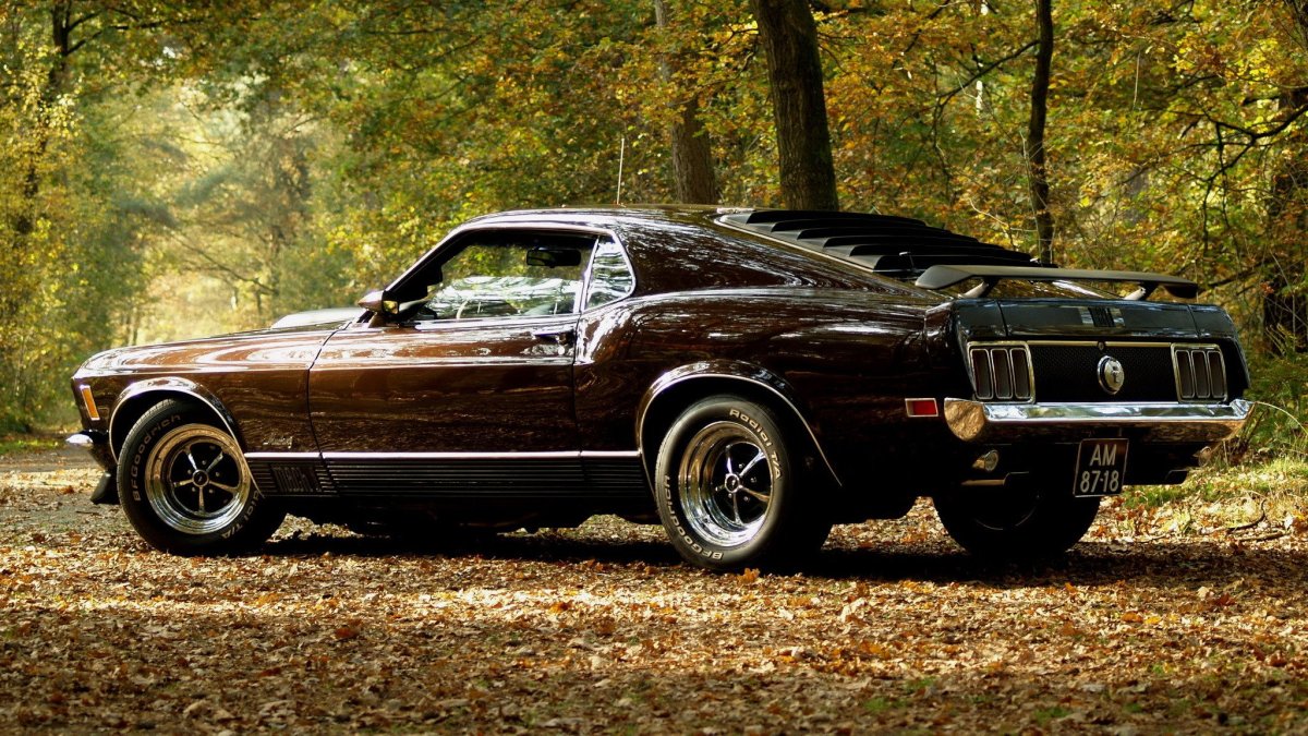 Ford Mustang 1969