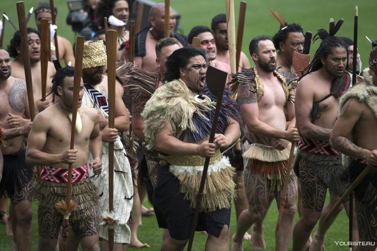Маори коренные жители Австралии