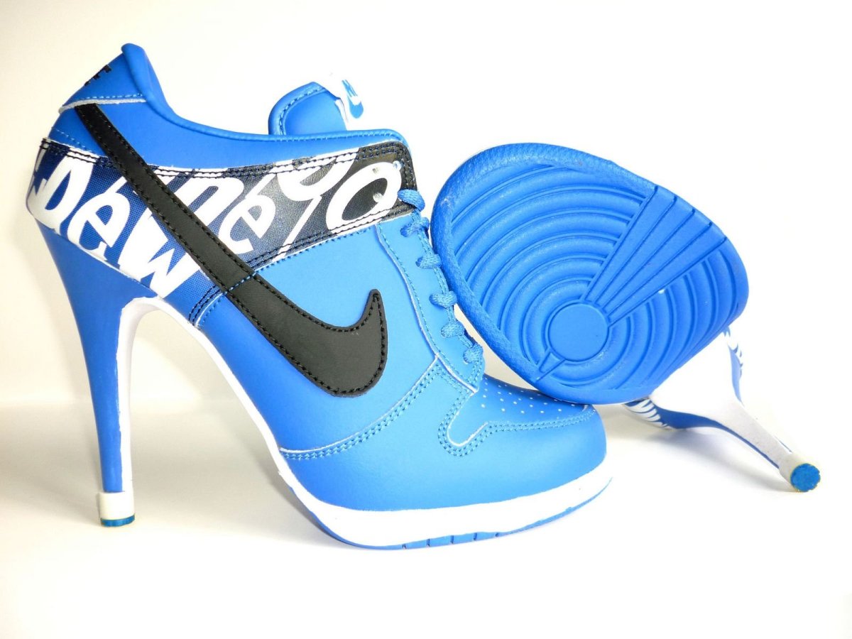 Nike Dunk Low SB Heels