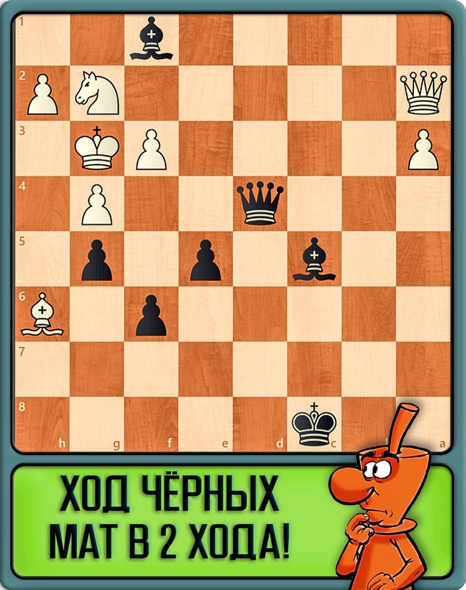 Разные типы матов в шахматах