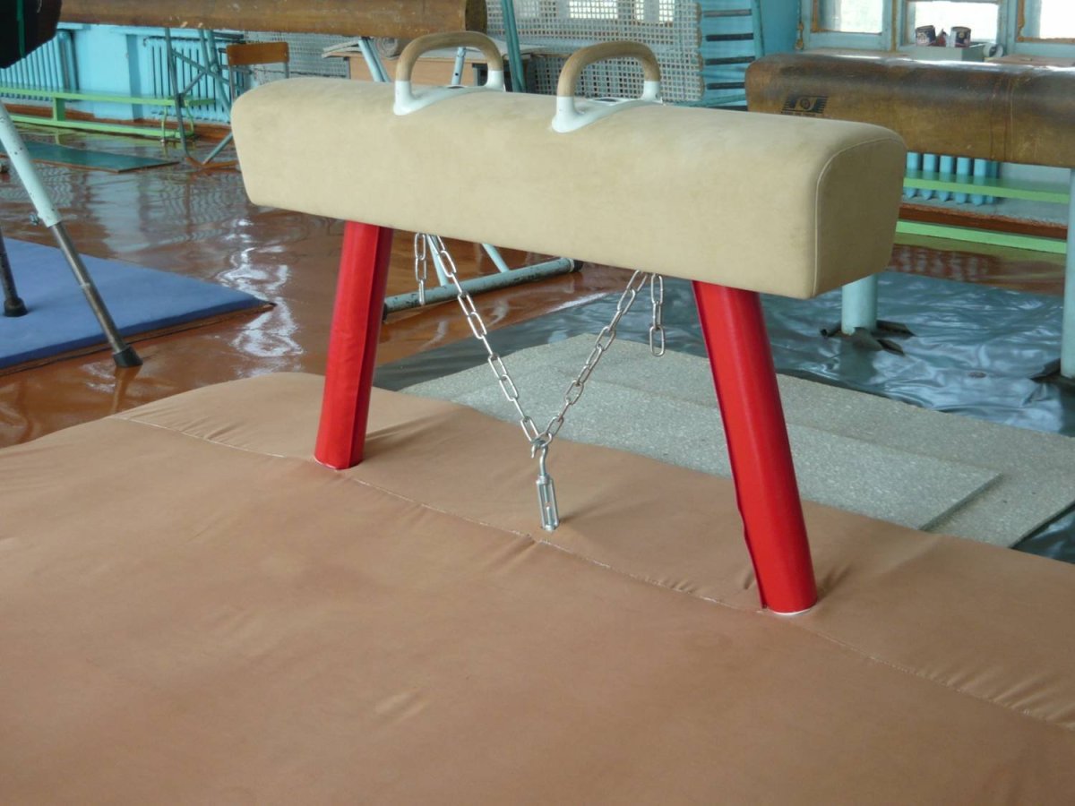 Гимнастический конь