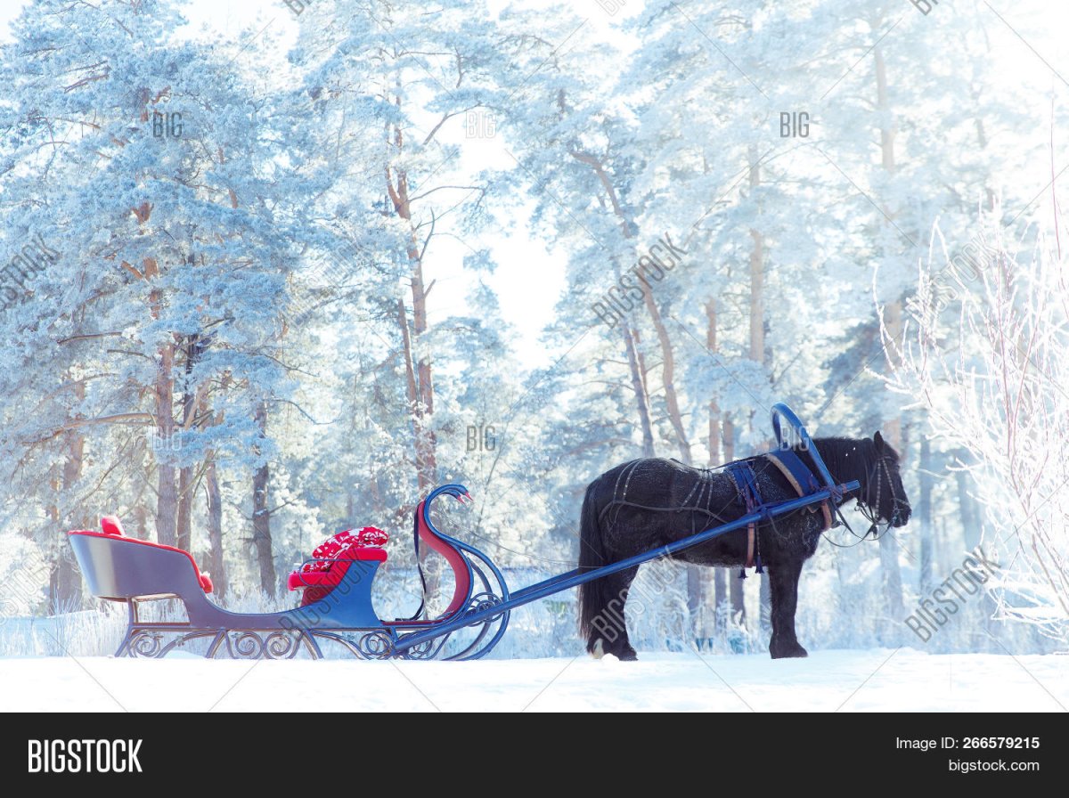 Лошади запряженные в сани зимой