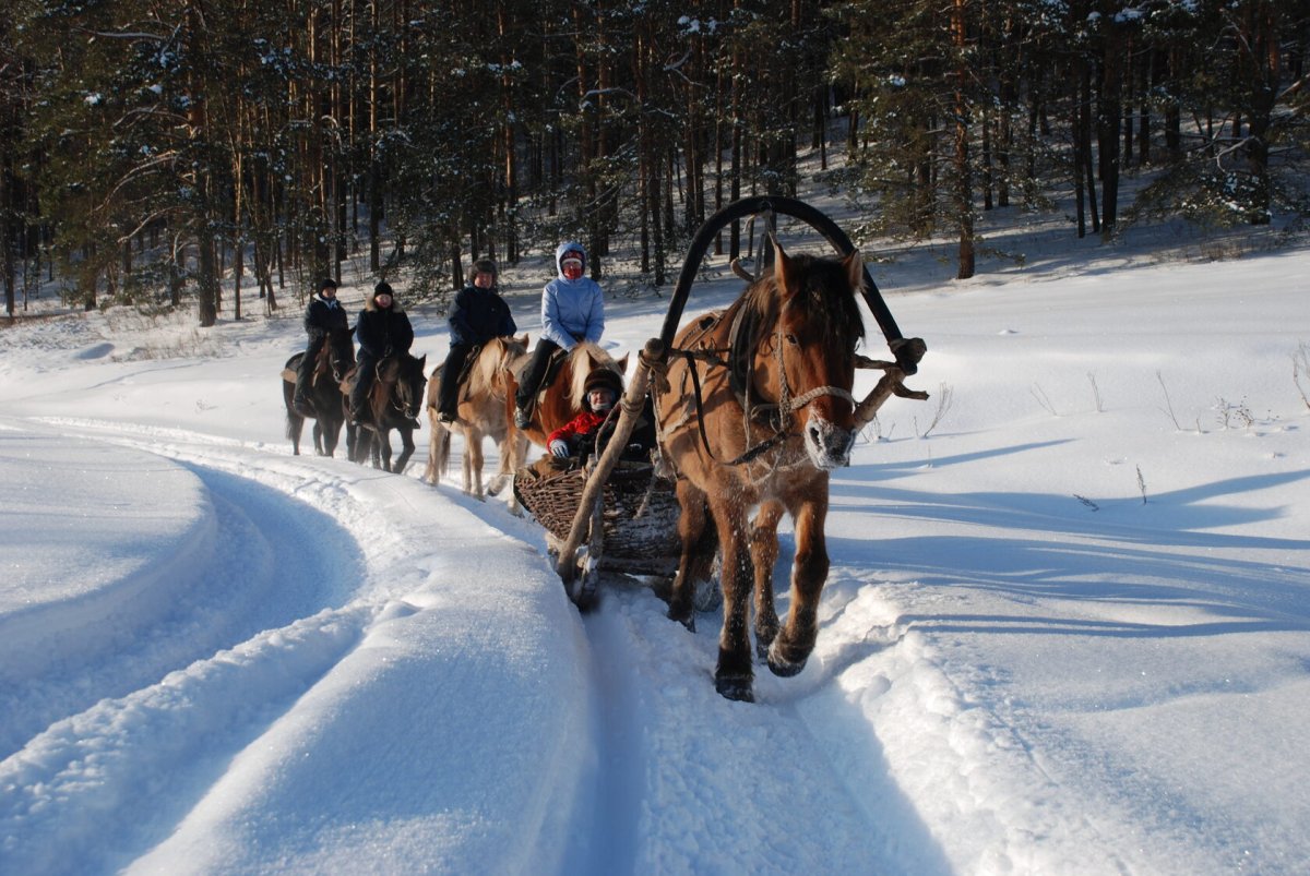 Конно-санный тур снежный крака