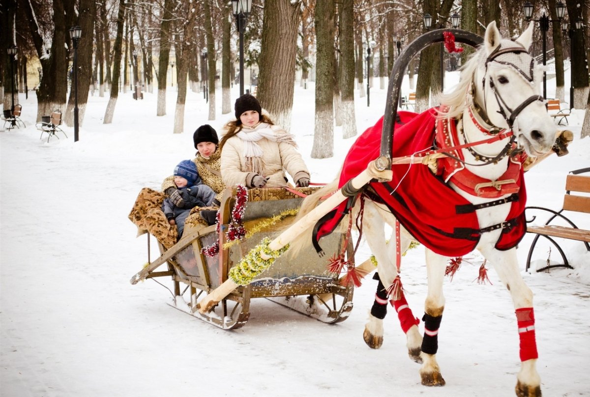 Лошадь с санями