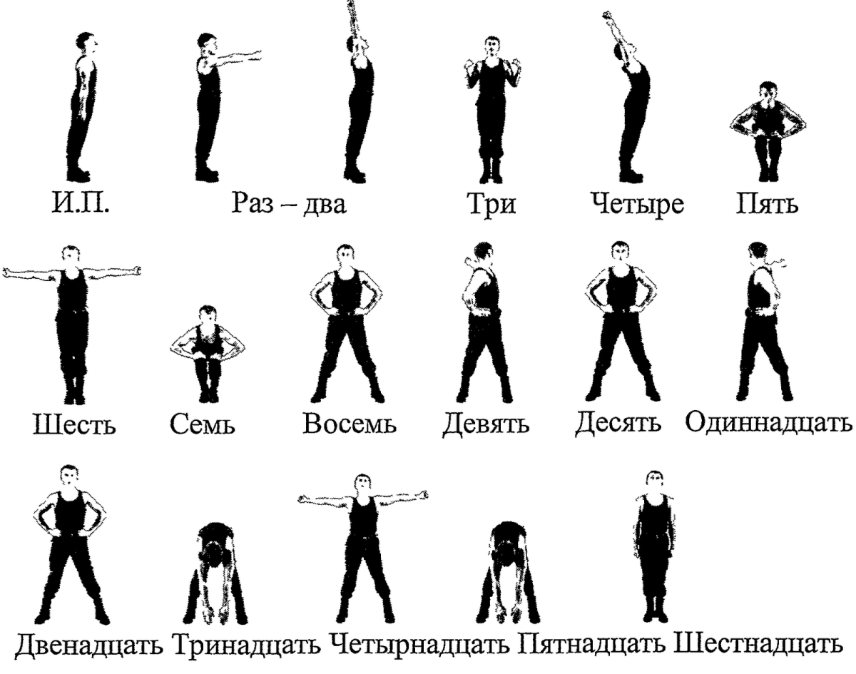 Зарядка утром комплекс упражнений