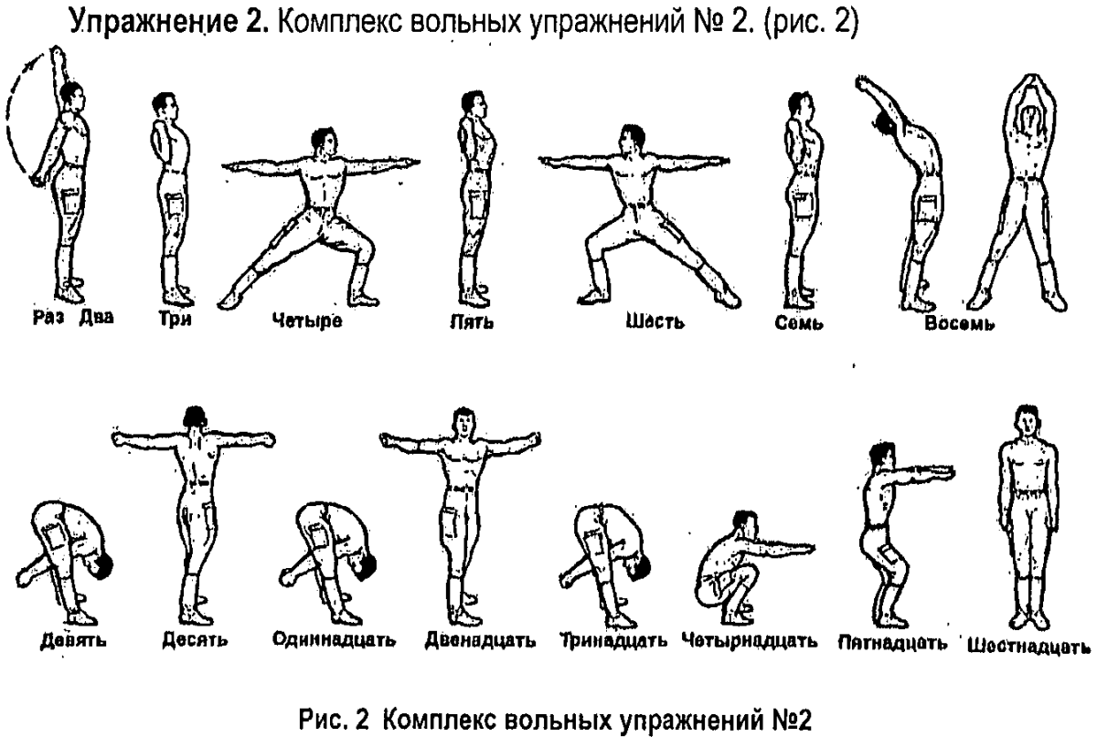 НФП комплекс вольных упражнений