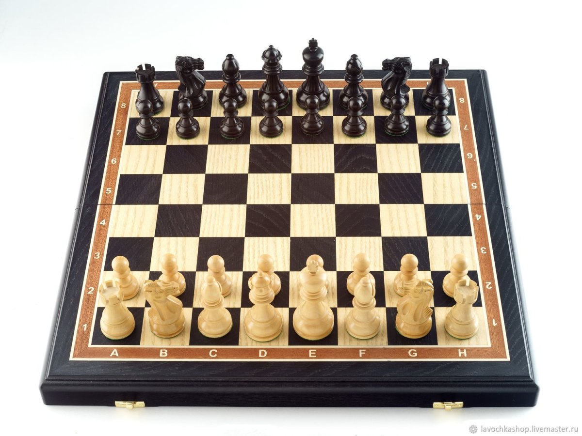 Гамбит шахматы