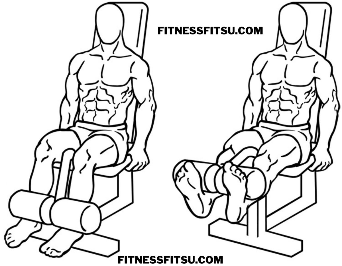 Разгибание ног в тренажере сидя