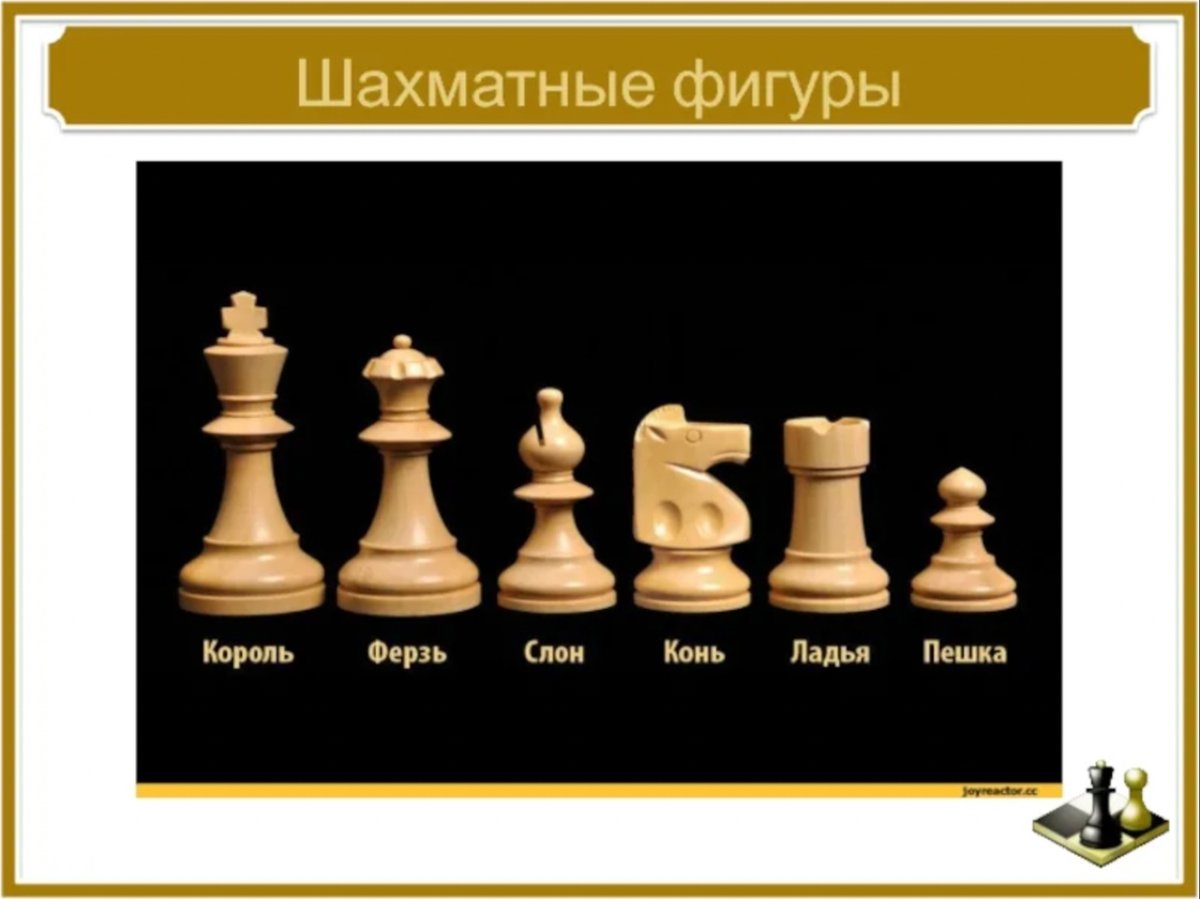 Шахматные фигуры Ладья Король ферзь конь слон пешка
