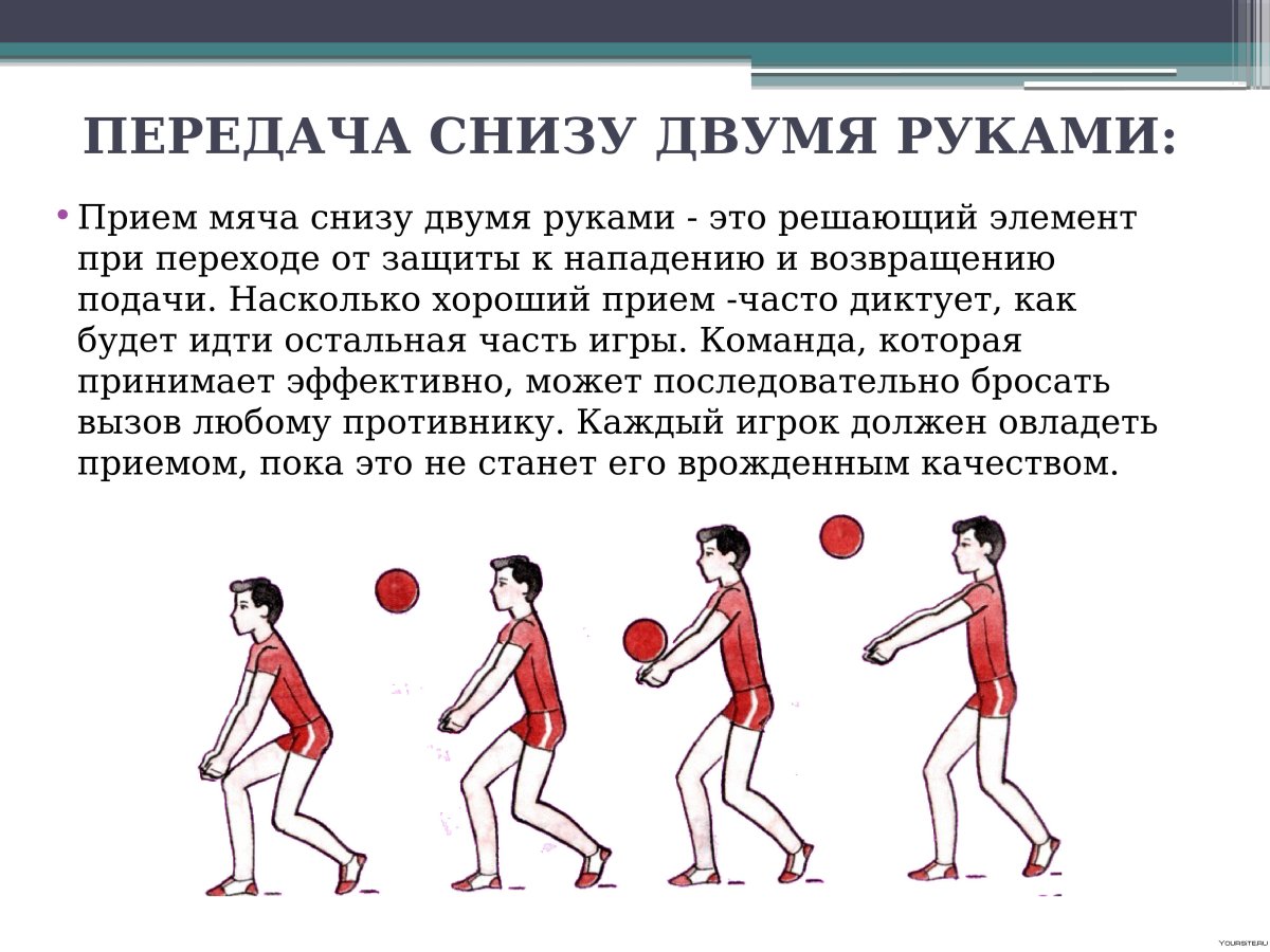 Прием подачи мяча в волейболе