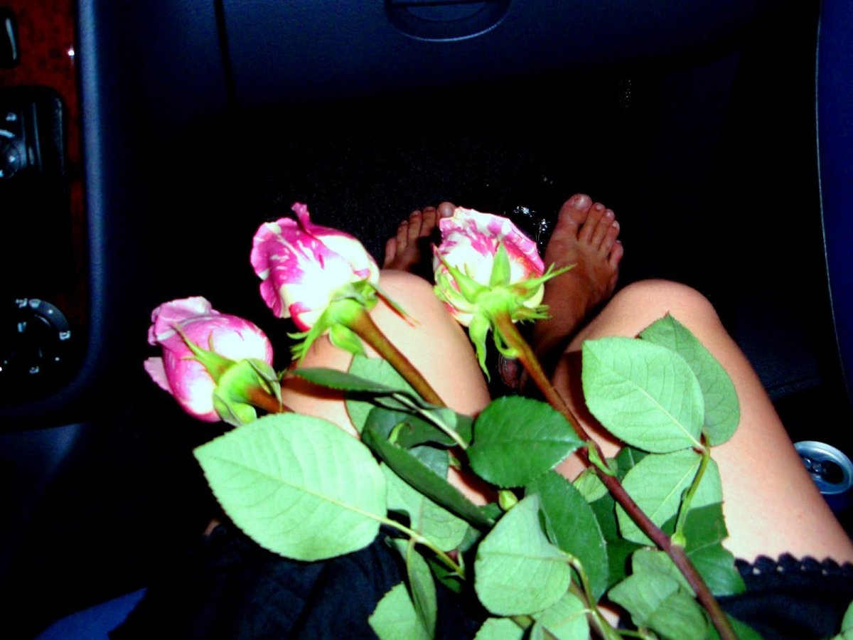Цветы в машине на коленях