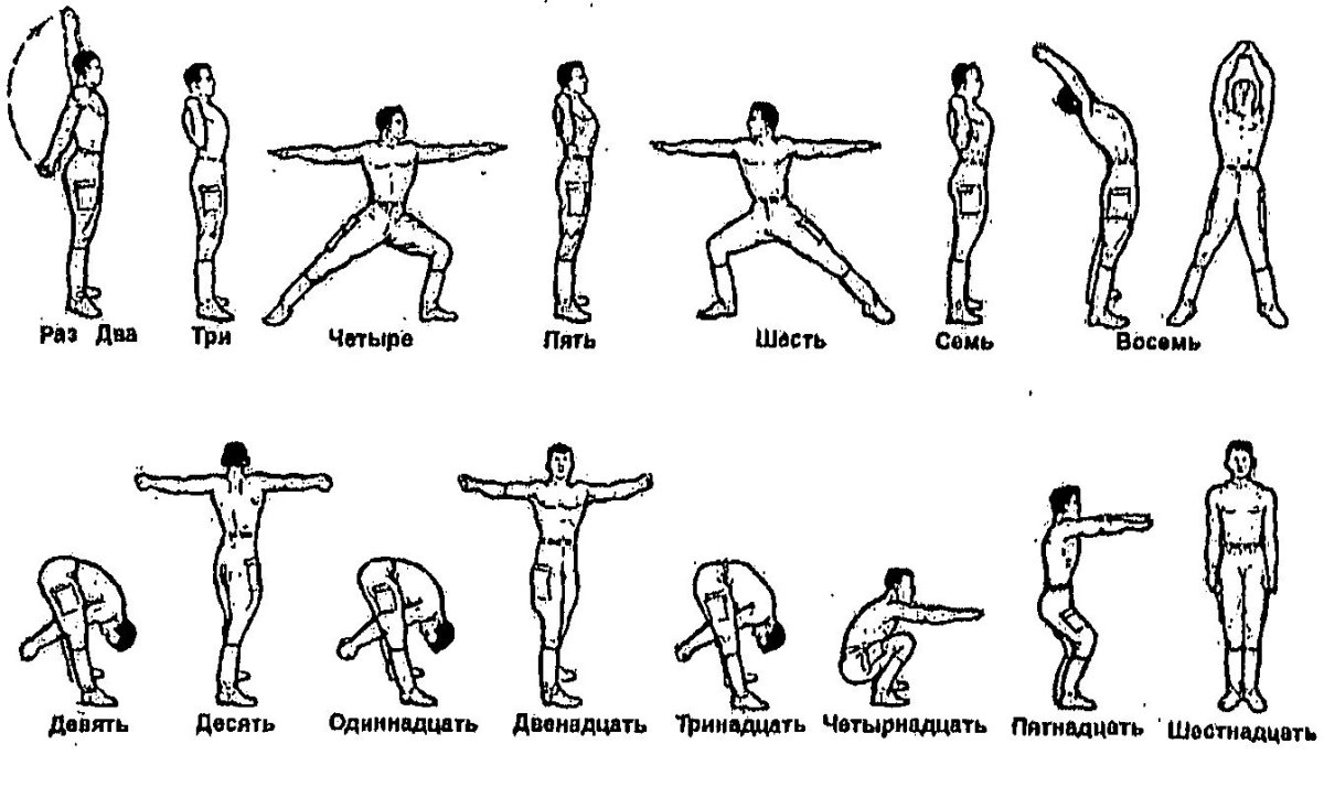 НФП комплекс вольных упражнений