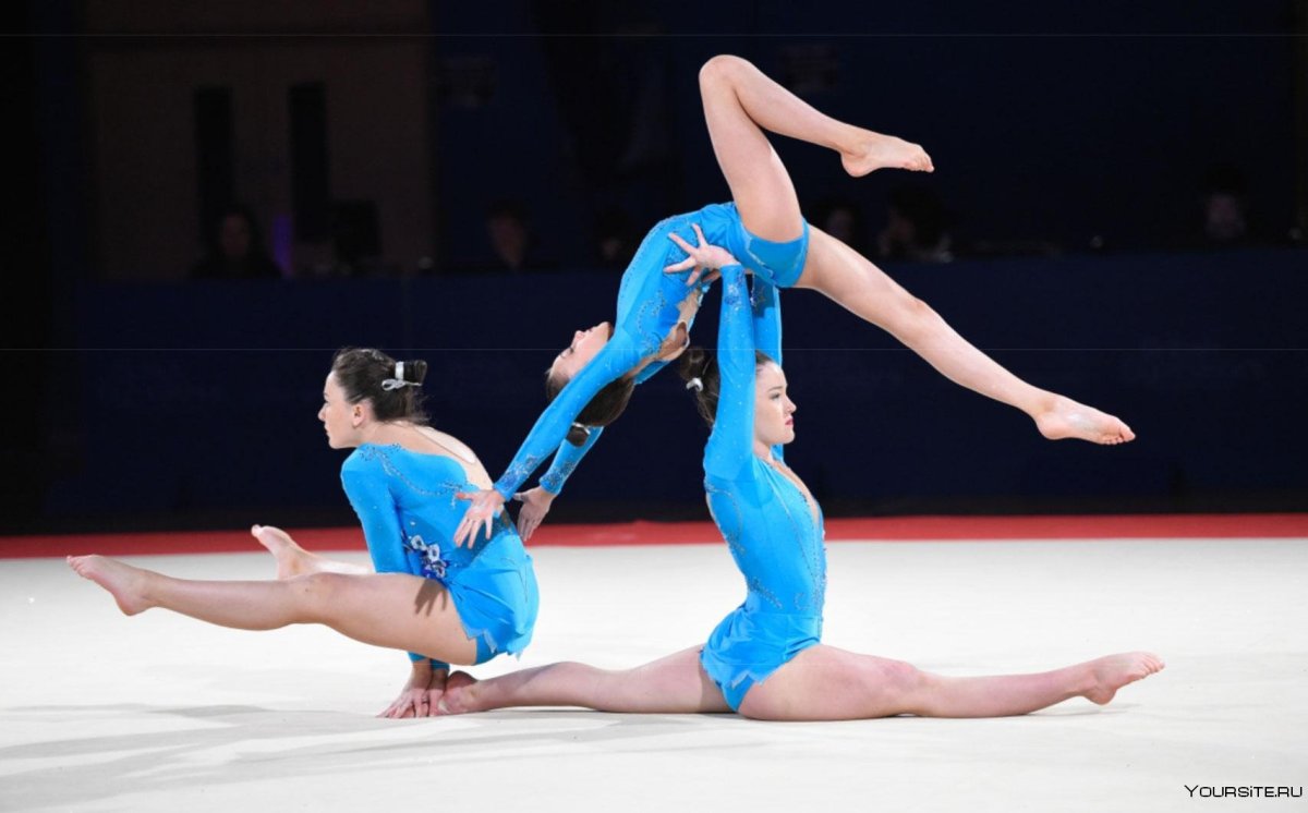 Спортивная гимнастика художественная гимнастика акробатика