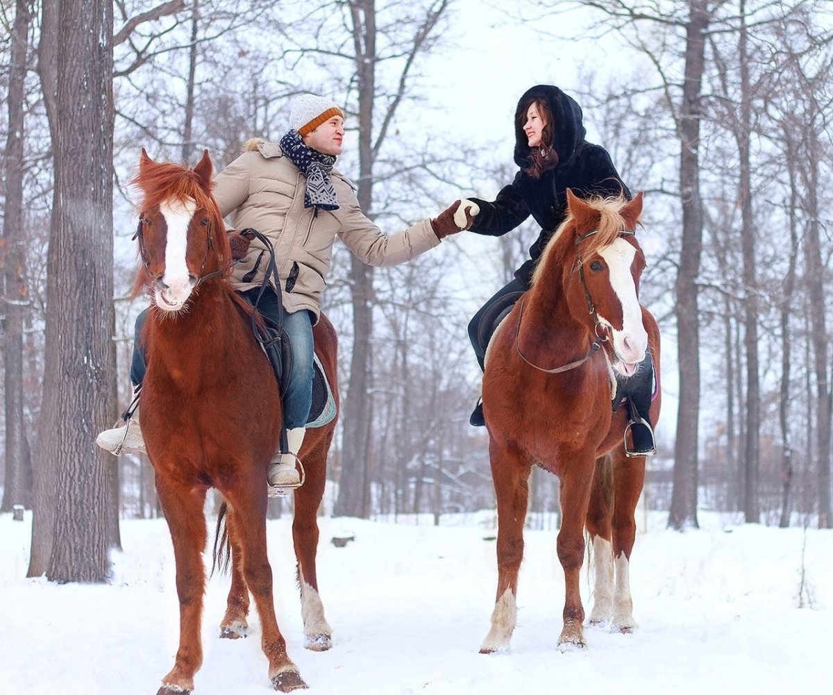 Катание на лошадях зимой