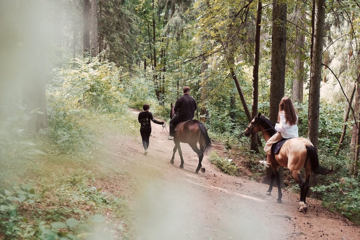 Катание на лошадях в лесу