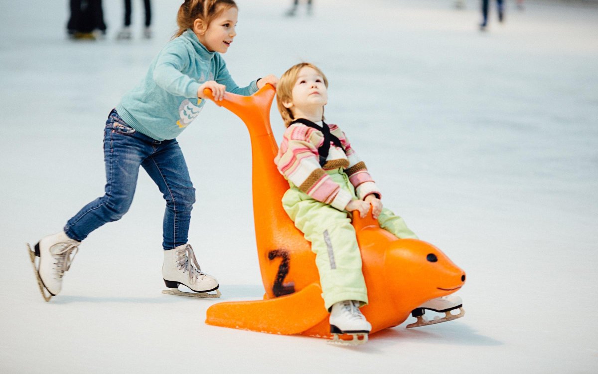 Каток Mega Ice