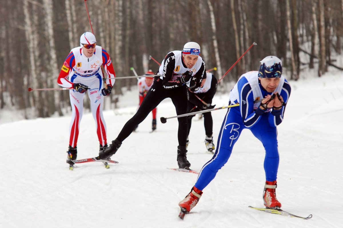Спорт Союз Новосибирск по лыжным гонкам