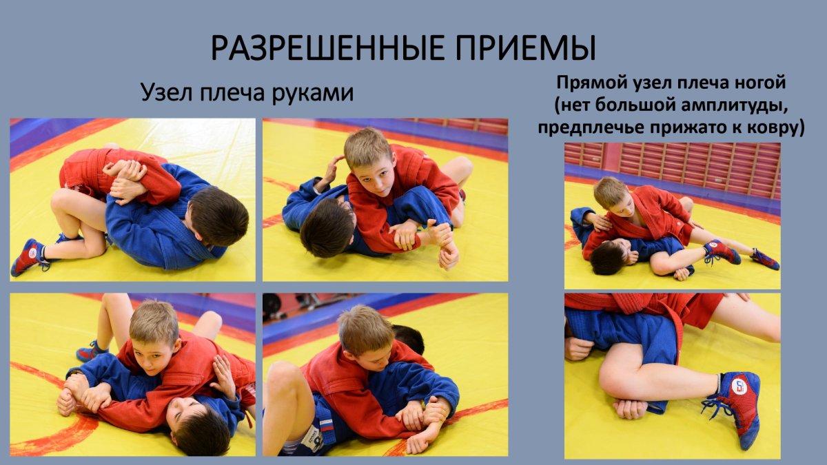 Правила самбо