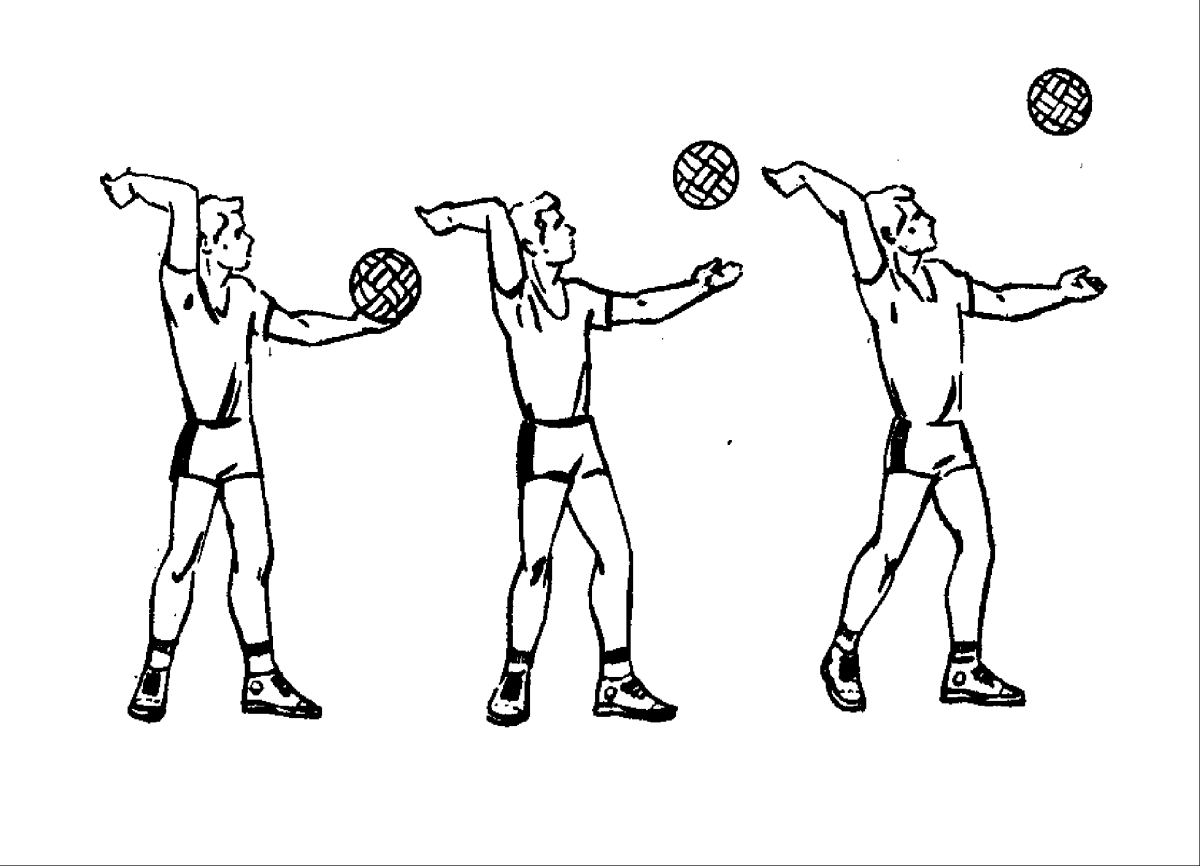 Волейбол подбрасывание мяча подача мяча прием и передача мяча