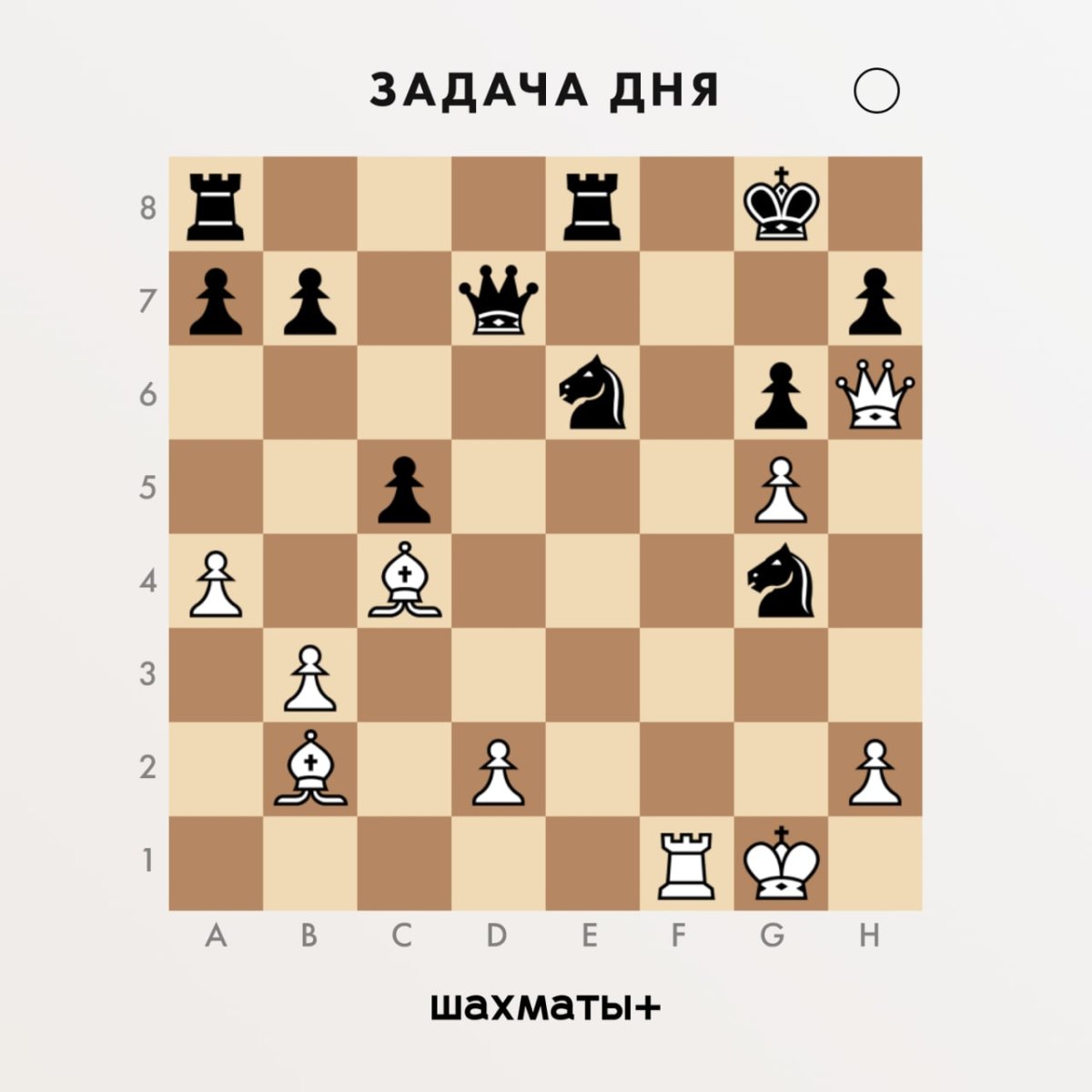 Шапочка черного короля шахматы