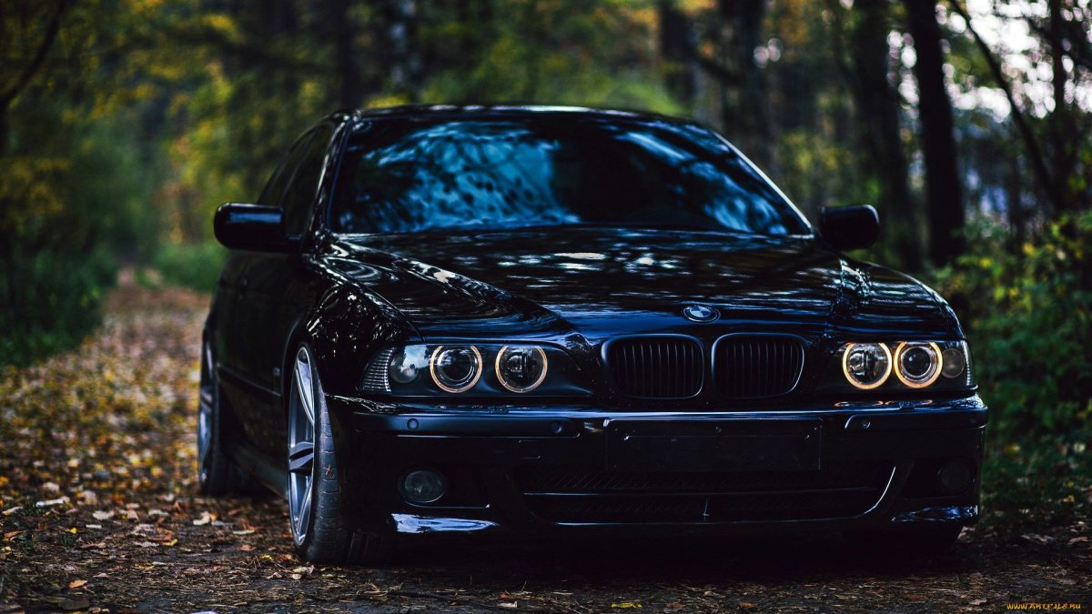 BMW 5 Series e39 Black