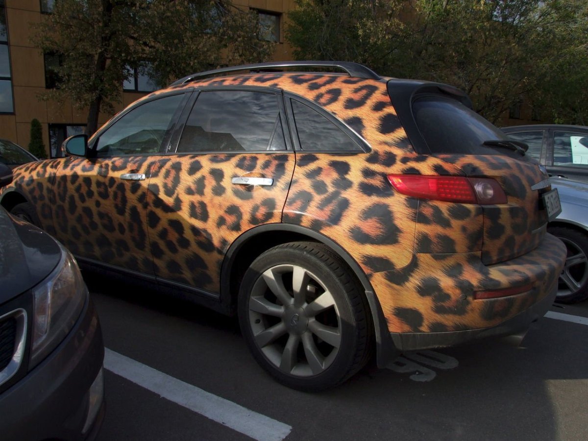 Леопардовая пленка на авто