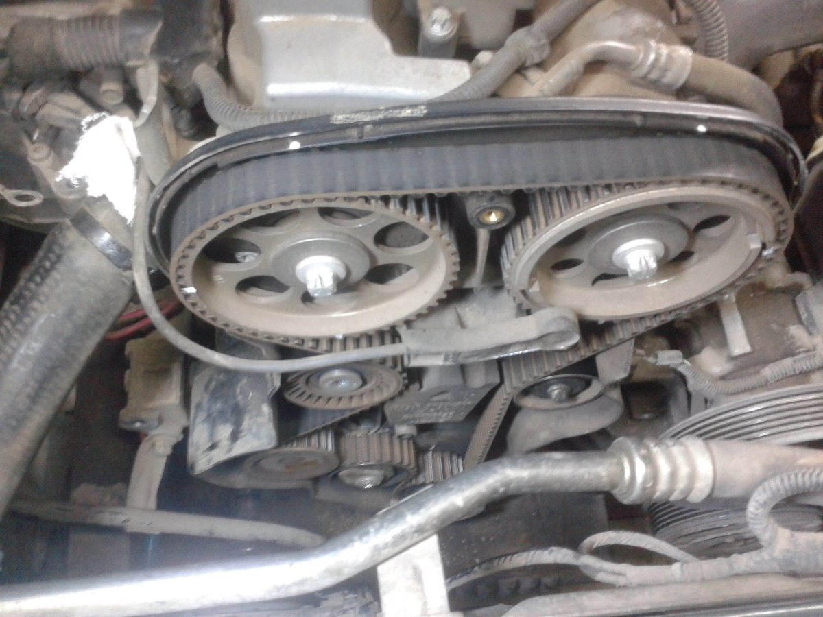 Ремень ГРМ Нива Шевроле