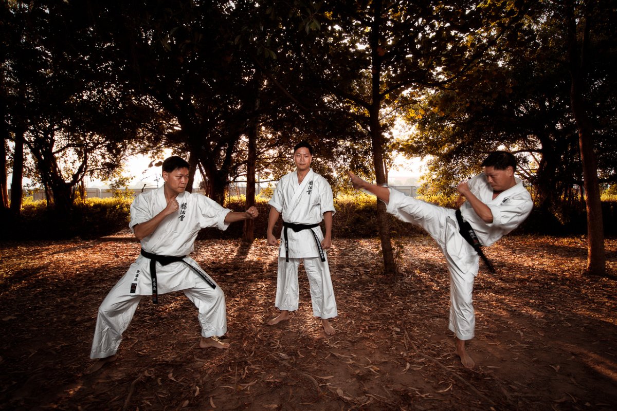 Боевые искусства Японии каратэ