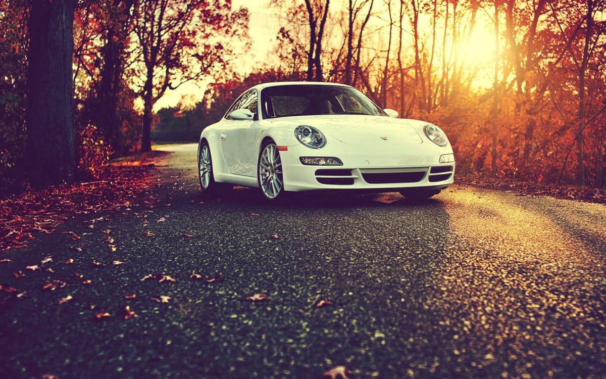 Porsche 911 Carrera 1920