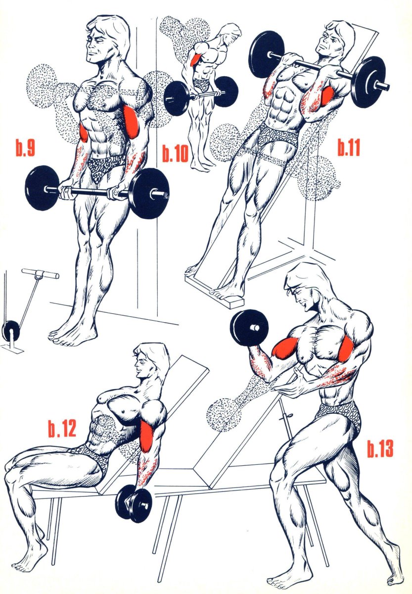Упражнения на бицепс и трицепс в тренажерном зале для мужчин