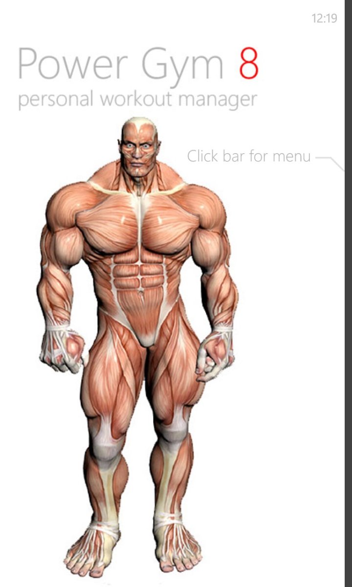 Анатомия мышцы человека культуриста