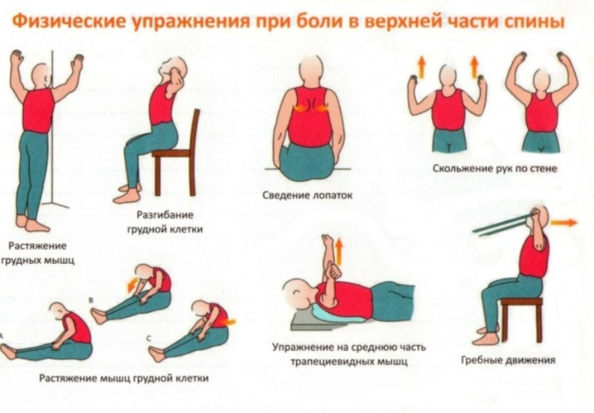 Упражнения при болях в спине в грудном отделе позвоночника