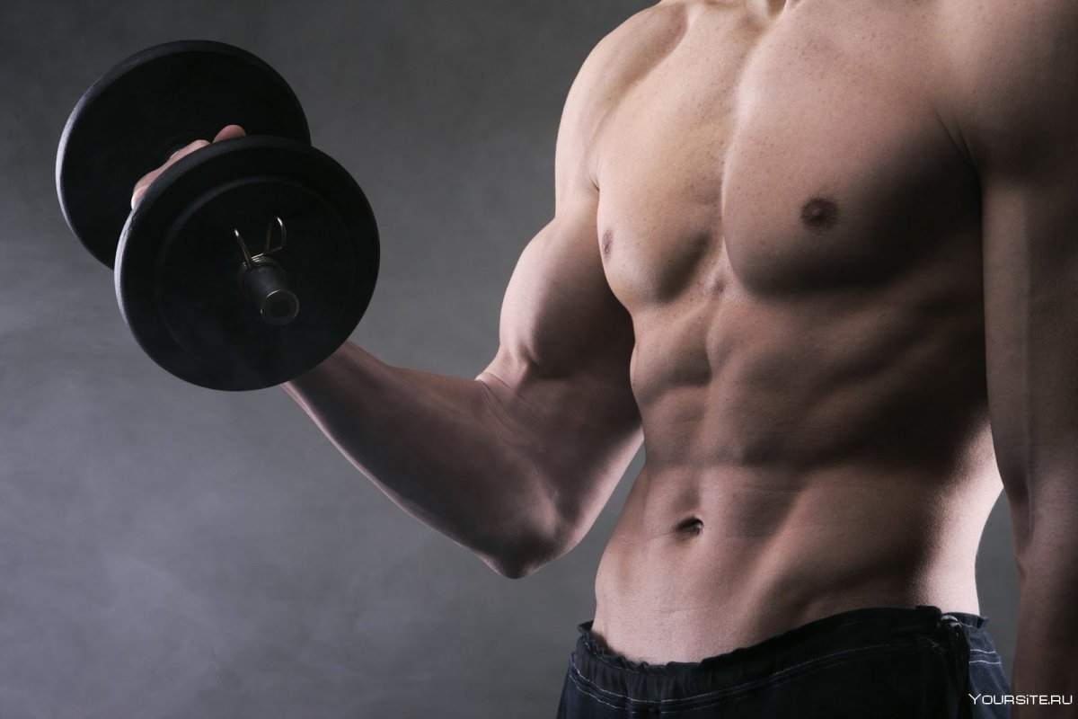 Майкл ДЕМЕЛЛО muscle