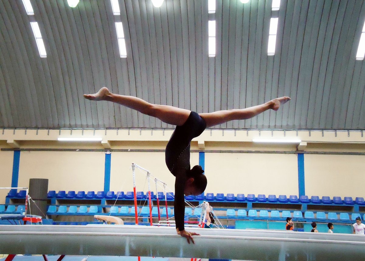 Гимнастические элементы спортивной гимнастики