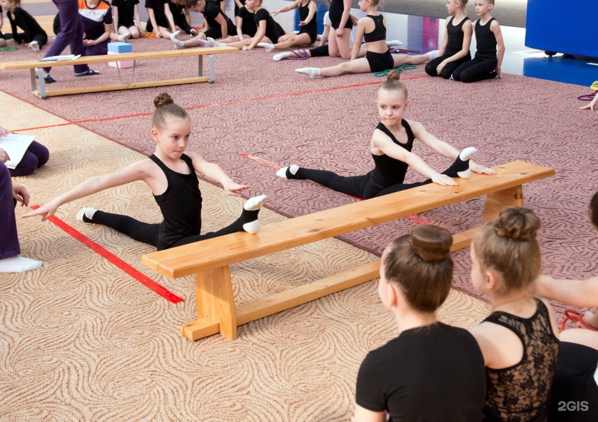 Школа спортивной гимнастики Воронеж
