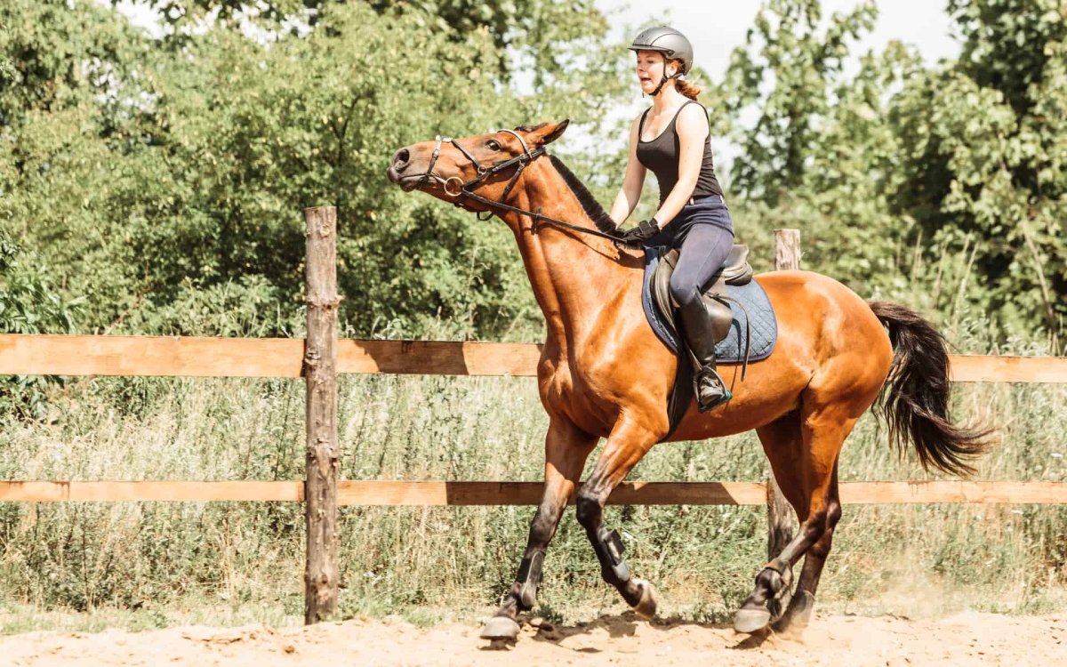 Женщина тренирует лошадь