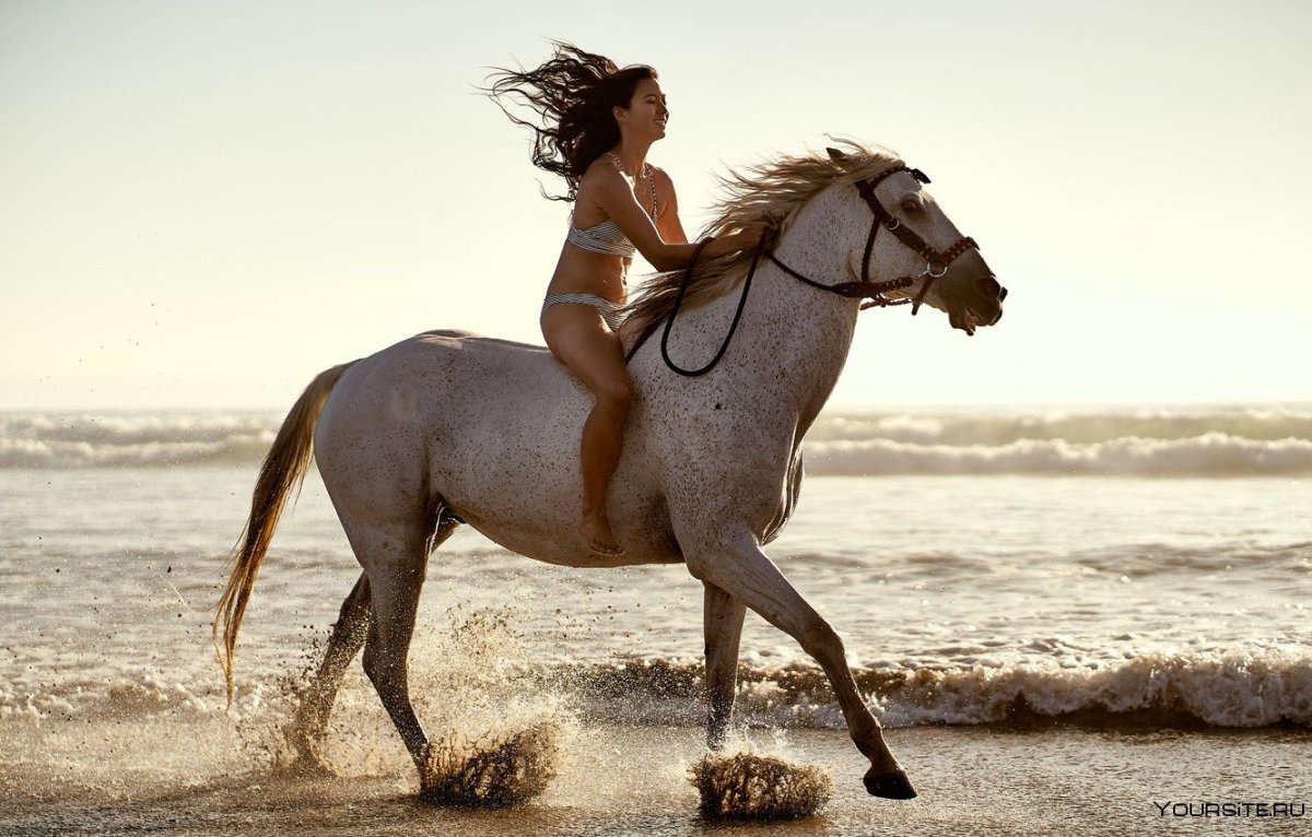 Девушка скачет на лошади
