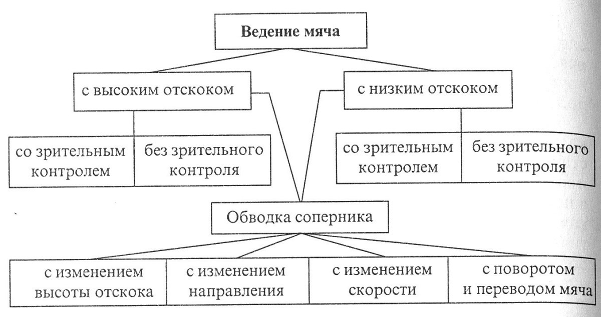 Классификация ведения мяча в баскетболе