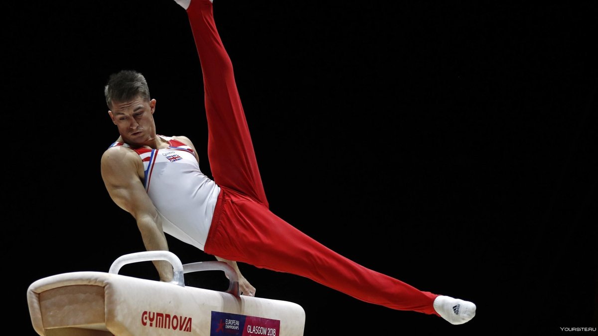 Спортивная гимнастика конь