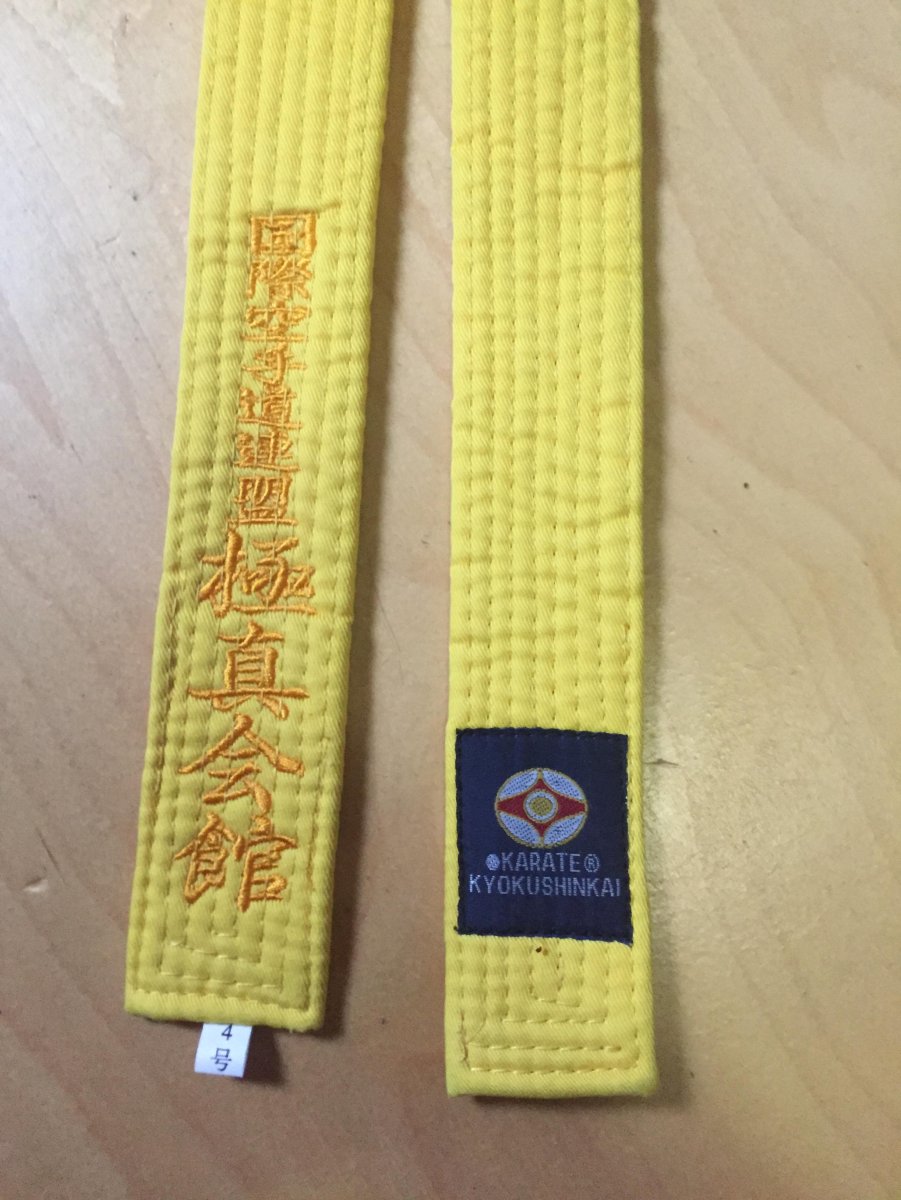 Пояса в карате Киокусинкац