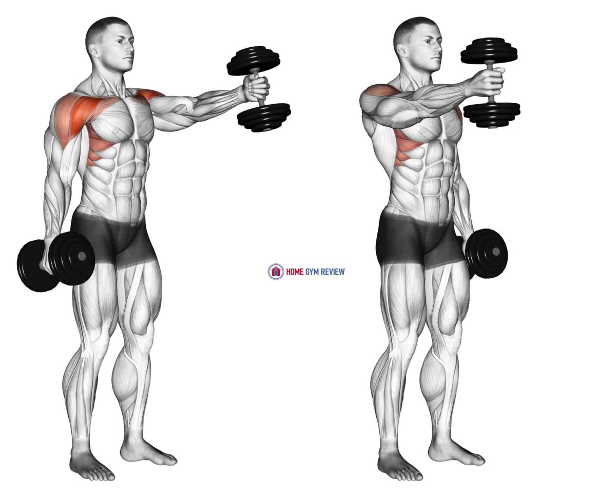 Упражнение для грудинной мышцы для мужчин с гантелями